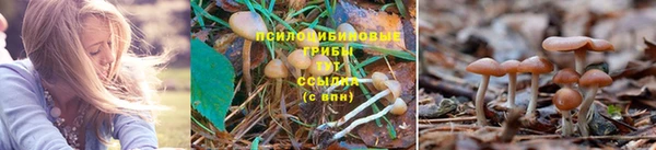 бутират Алзамай