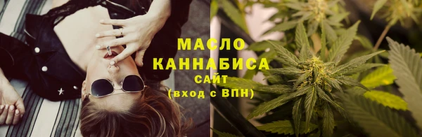 тгк Гусь-Хрустальный