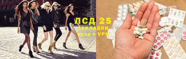 гидра Заводоуковск